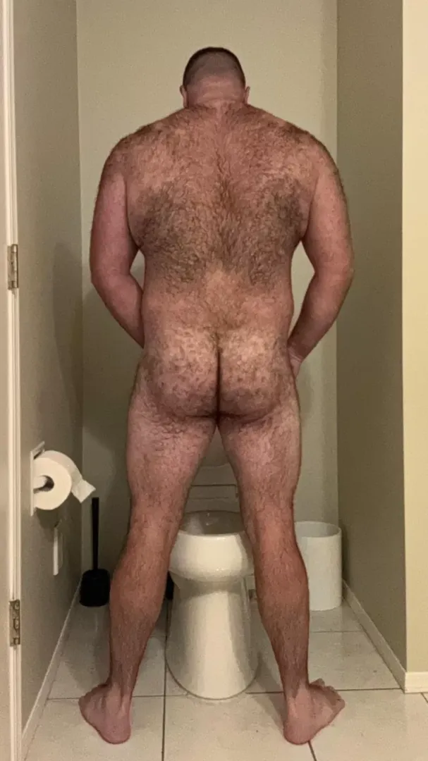 Does a bear piss in the woods? …Or something clever, idk.  posted by Ok_Independent_6587