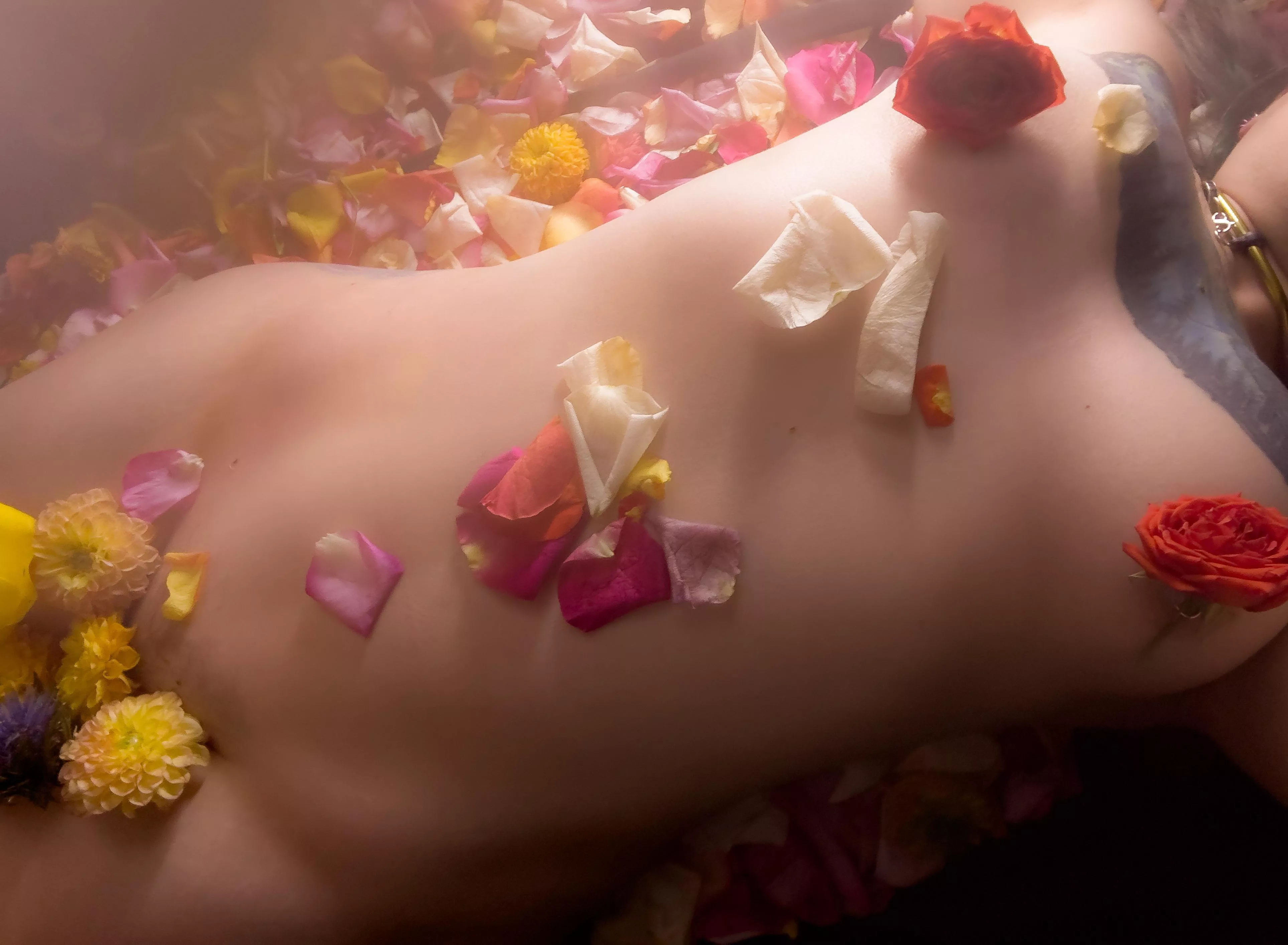 Dreaming in color…. posted by SireninPaint