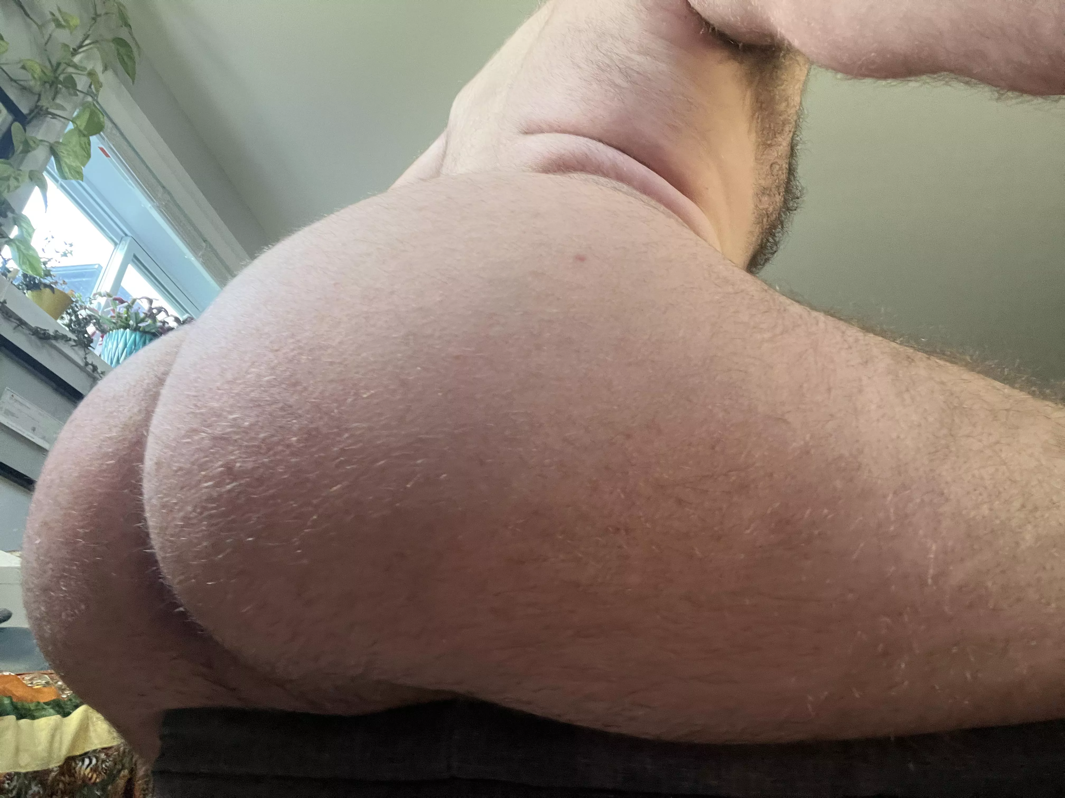 Hungry for some cake? posted by Academic-Pickle-3455