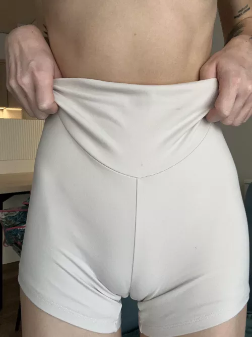 I hope my camel's paw got your attention by dreamfairyy