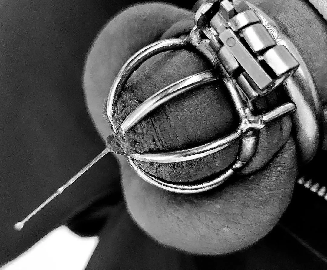Locktober 2024 - day 21 - I doubted it but chastity tears are real 🥲 posted by primalneed69