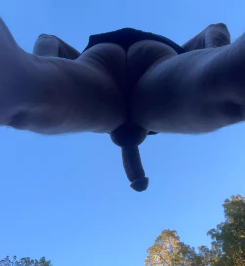 Looks like a enormous wang.  by 71Bones