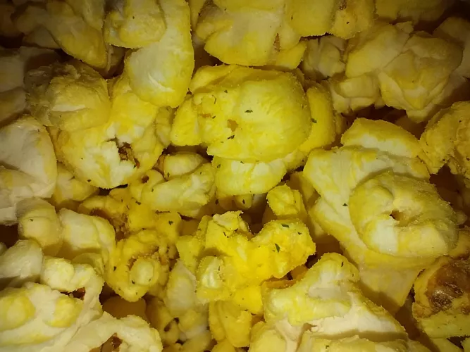 making this post due to a influx of extreme erp post being mass reported  by arora_fox