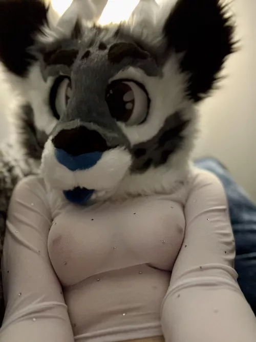 New solo vid on OF 😜 (X/OF: NoxKnots) by NoxKnots