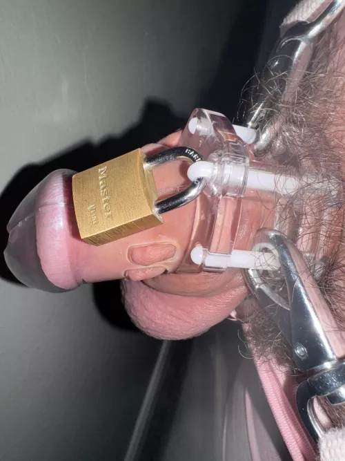 Starting a little late but day 1! by BoomStick_MD