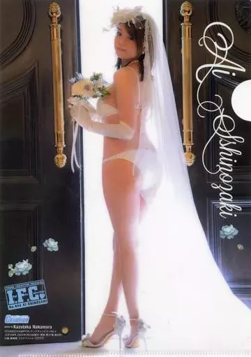 This pictorial part of…? posted by babayusef