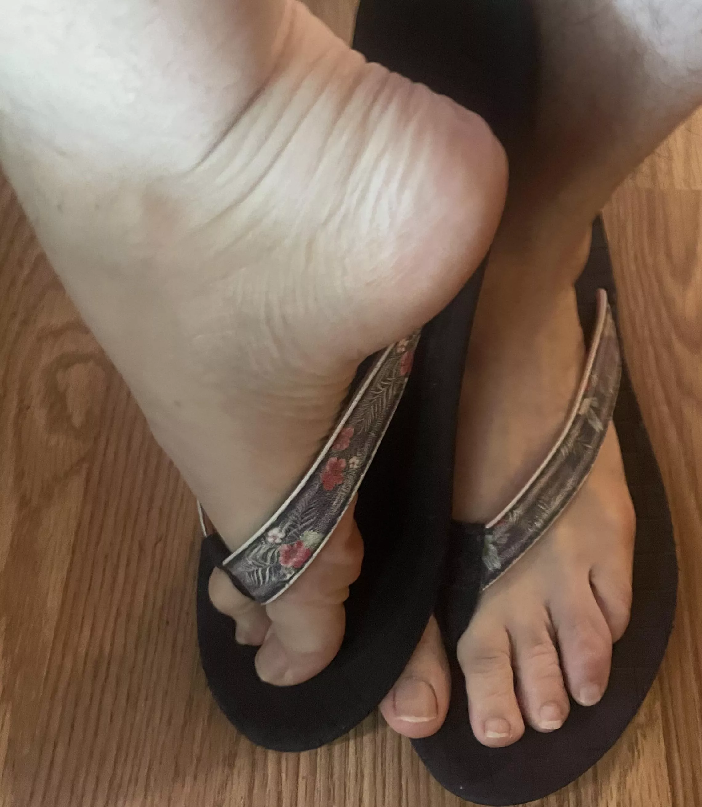 What color should I do posted by Acrobatic-Mirror6798