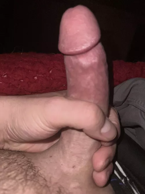 Woke up to this lil guy! by Curious-Fly-9080