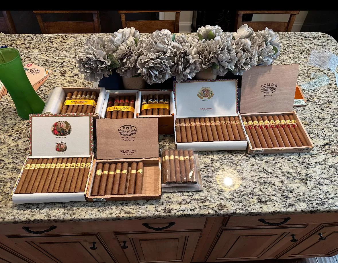 Christmas on Tuesday posted by Such-Competition-112