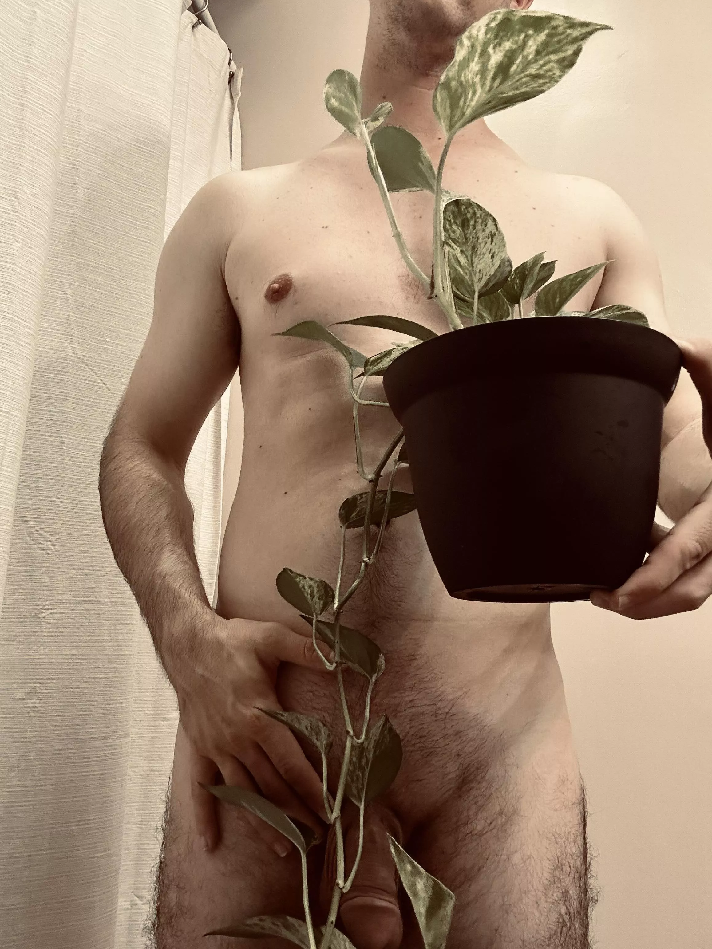 Need someone to get into your plants? posted by constantly_horny00