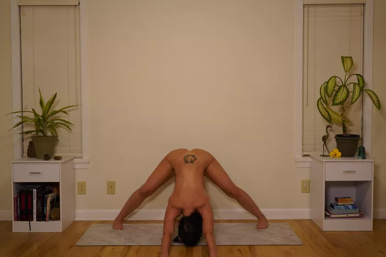 prasarita paddotanasana variation, wide leg forward fold by Illustrious_Fig_Web