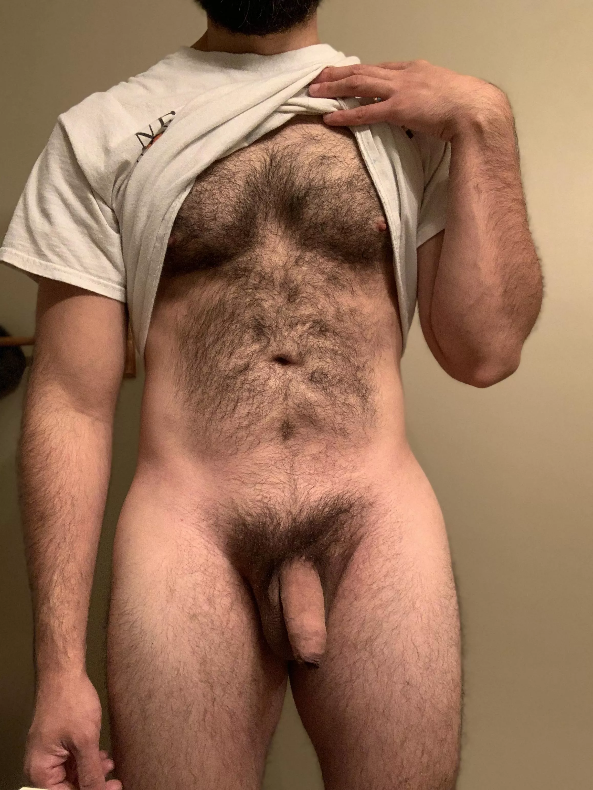 Welcome to the jungle!  posted by sweaterdave