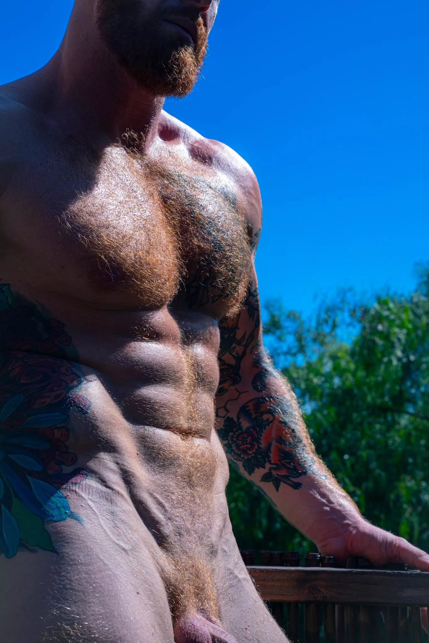 Would I intimidate you in the gym? posted by WetOnLev