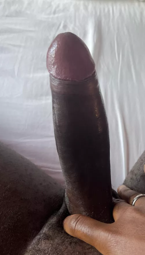 Would you like to taste this mushroom 🍄  by Euphoric-Sympathy-60