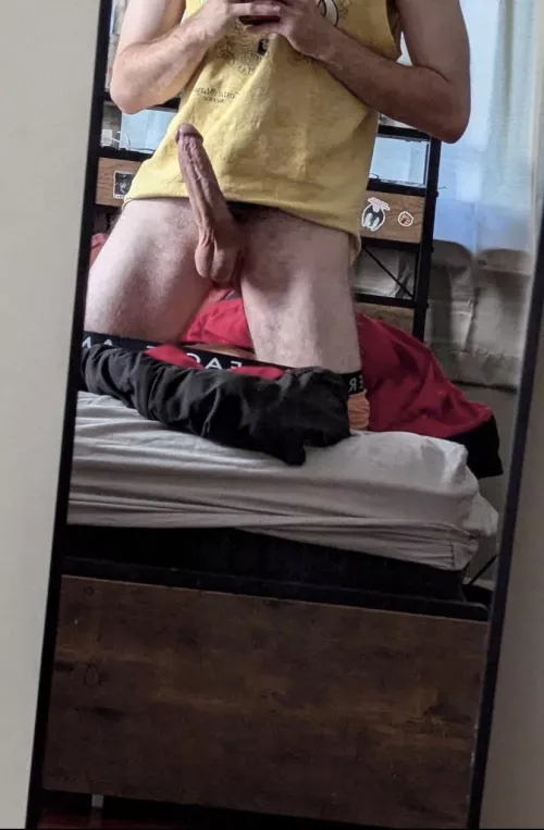 24 bribie by AdventurousFront3543