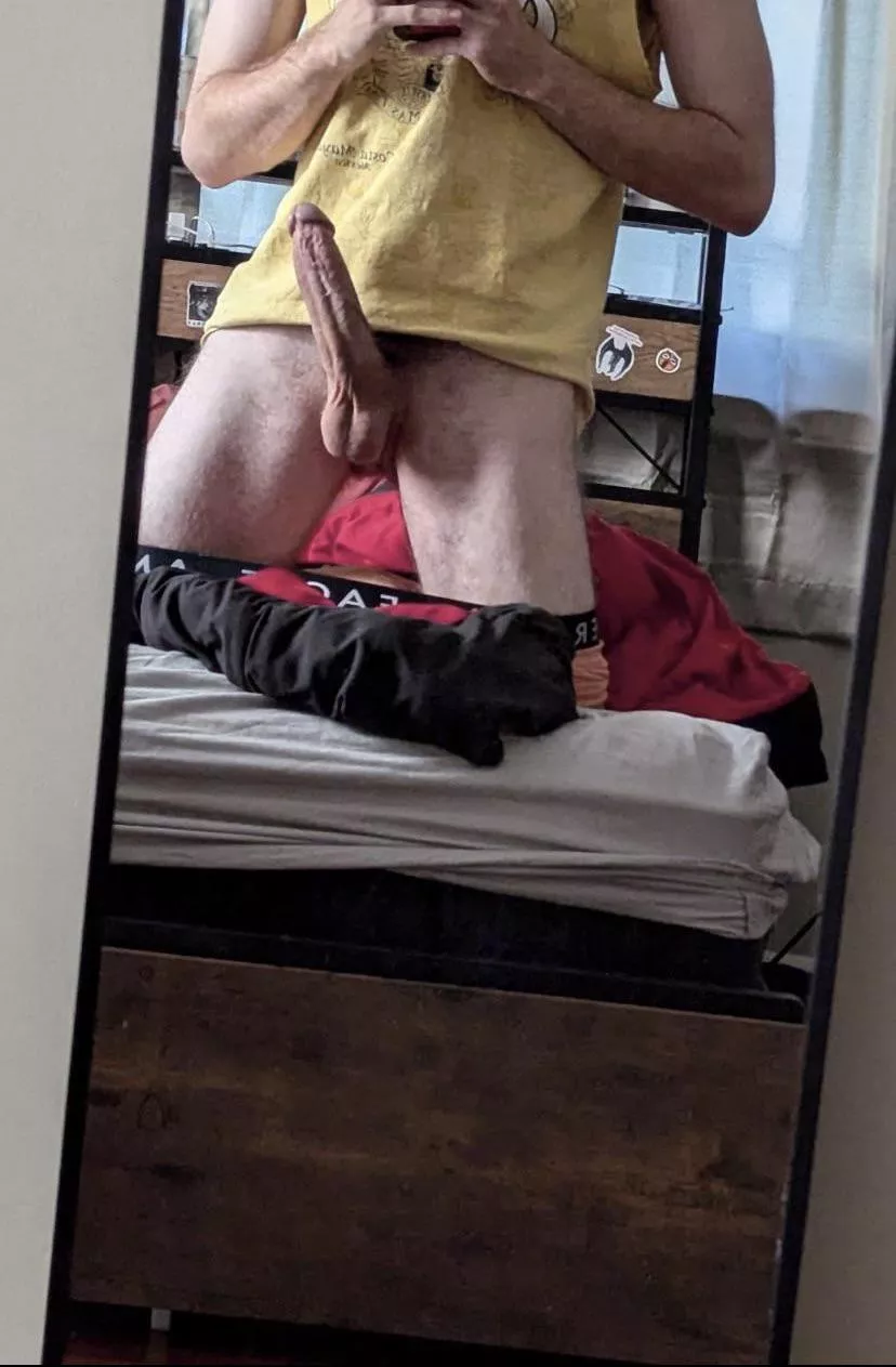 24 bribie posted by AdventurousFront3543