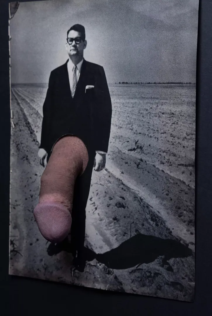 A Dignified Man (Analog penis collage) by MorganLappin