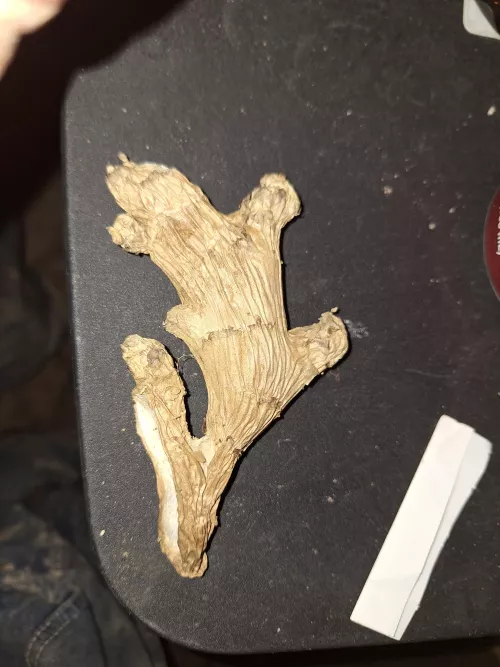 Anyone  by cbtfunwithme