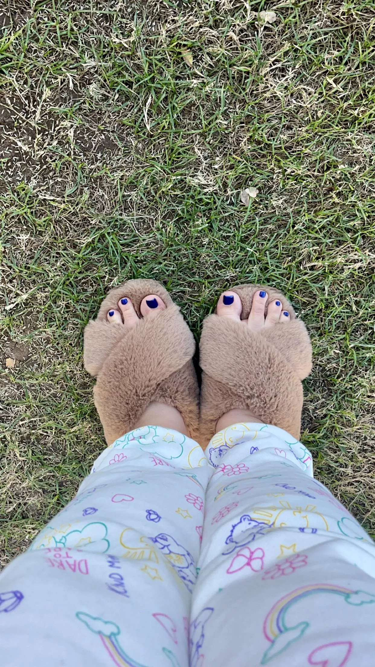 Cozy posted by Shy-Catt