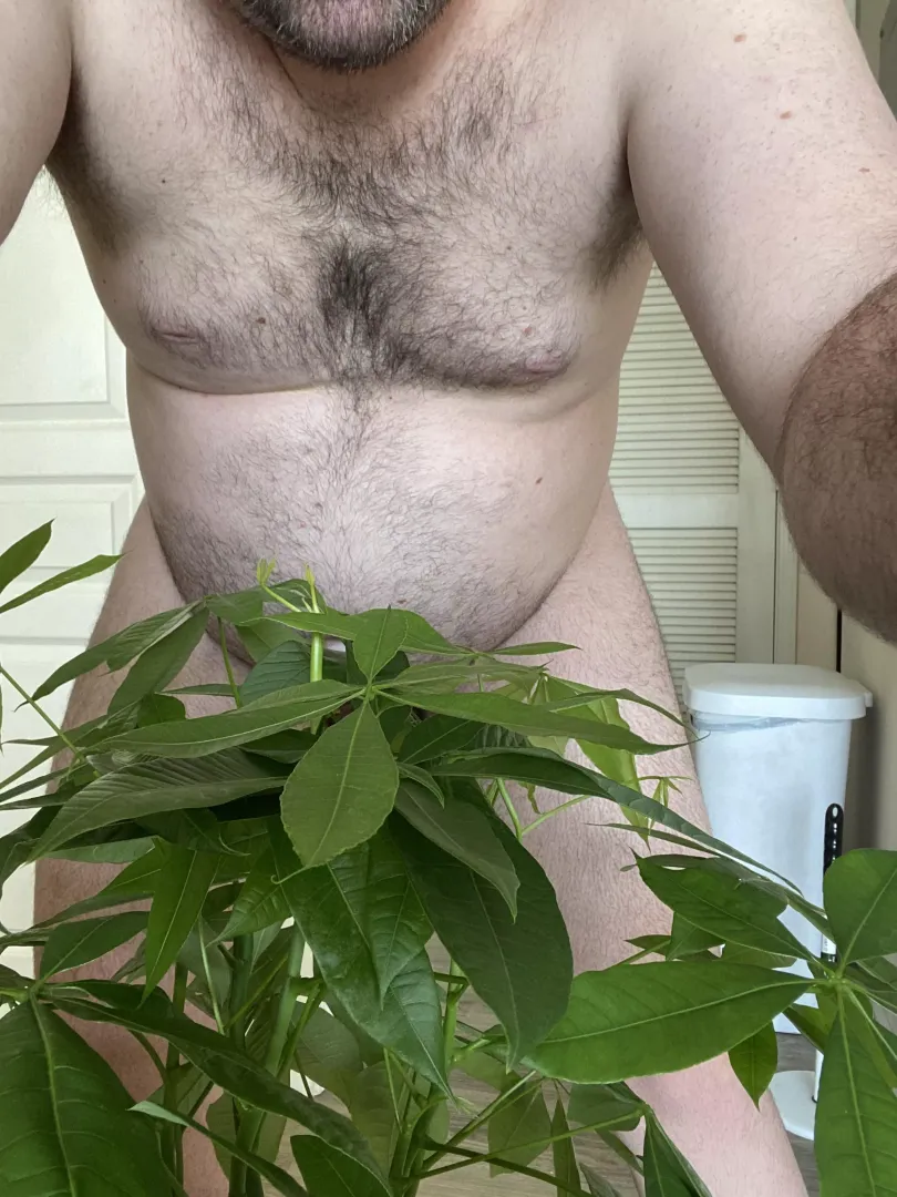 First house plant  by morphinpug