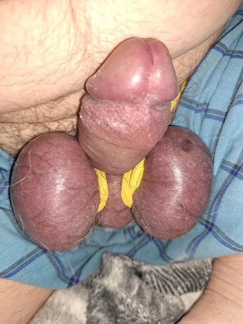 Got my panties in a bunch by cbtfunwithme