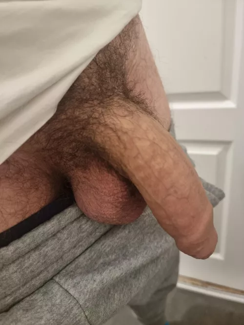 Grey sweatpants = fat cock by saintjosepherino