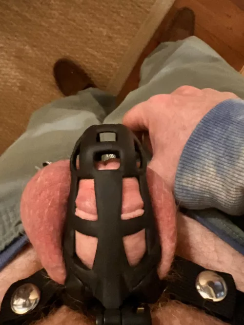 Questions about cage by Creative-Animal-2931