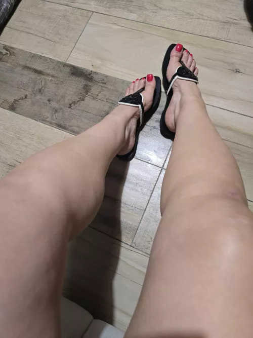 Rojo❤️ by tecolotadiurna