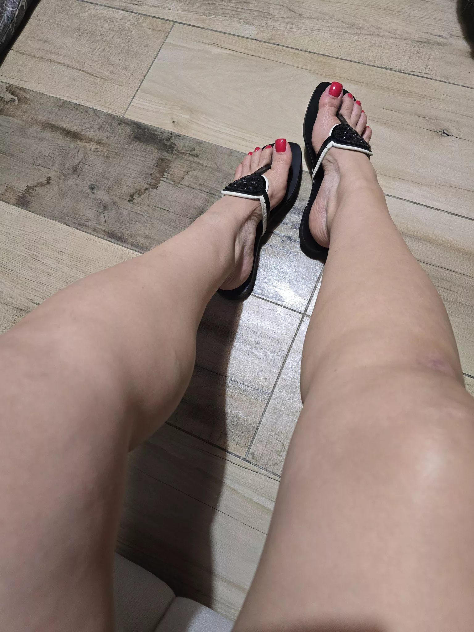 Rojo❤️ posted by tecolotadiurna