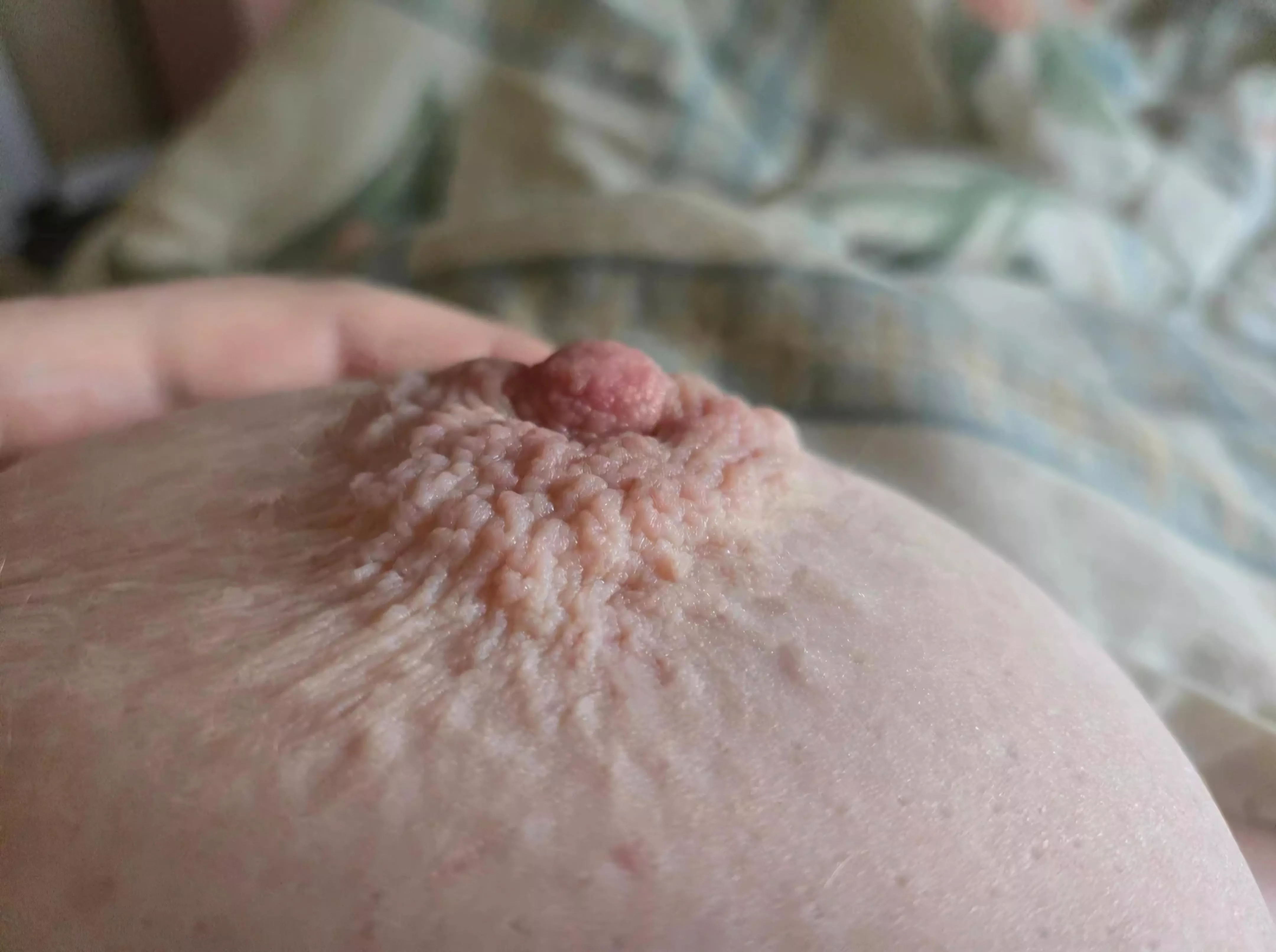 She's a little shy- help finish teasing her out? posted by GingerSnapBB