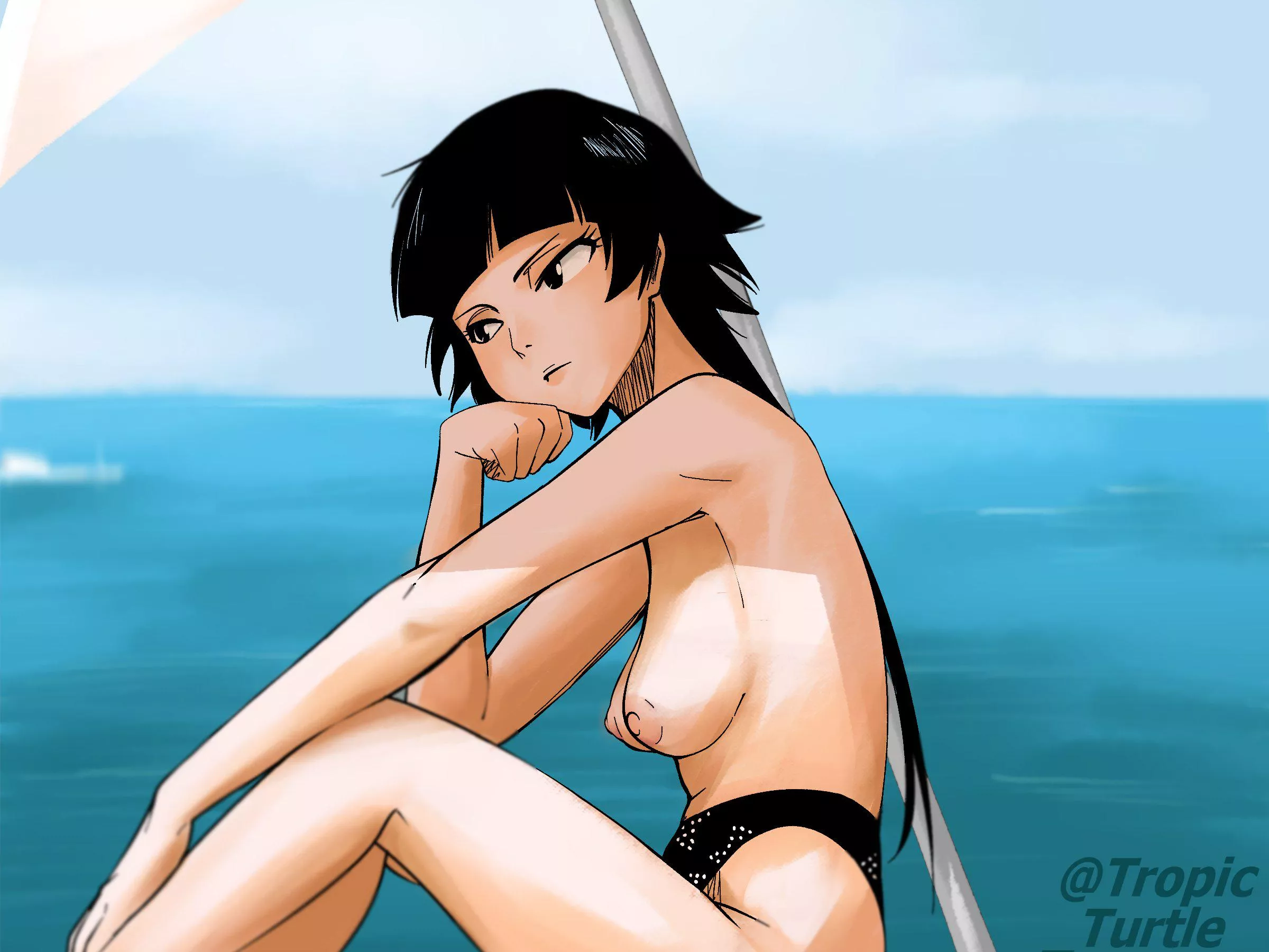 Spotting Soi Fon from across the beach (Tropic_Turtle) posted by TropicalWhale