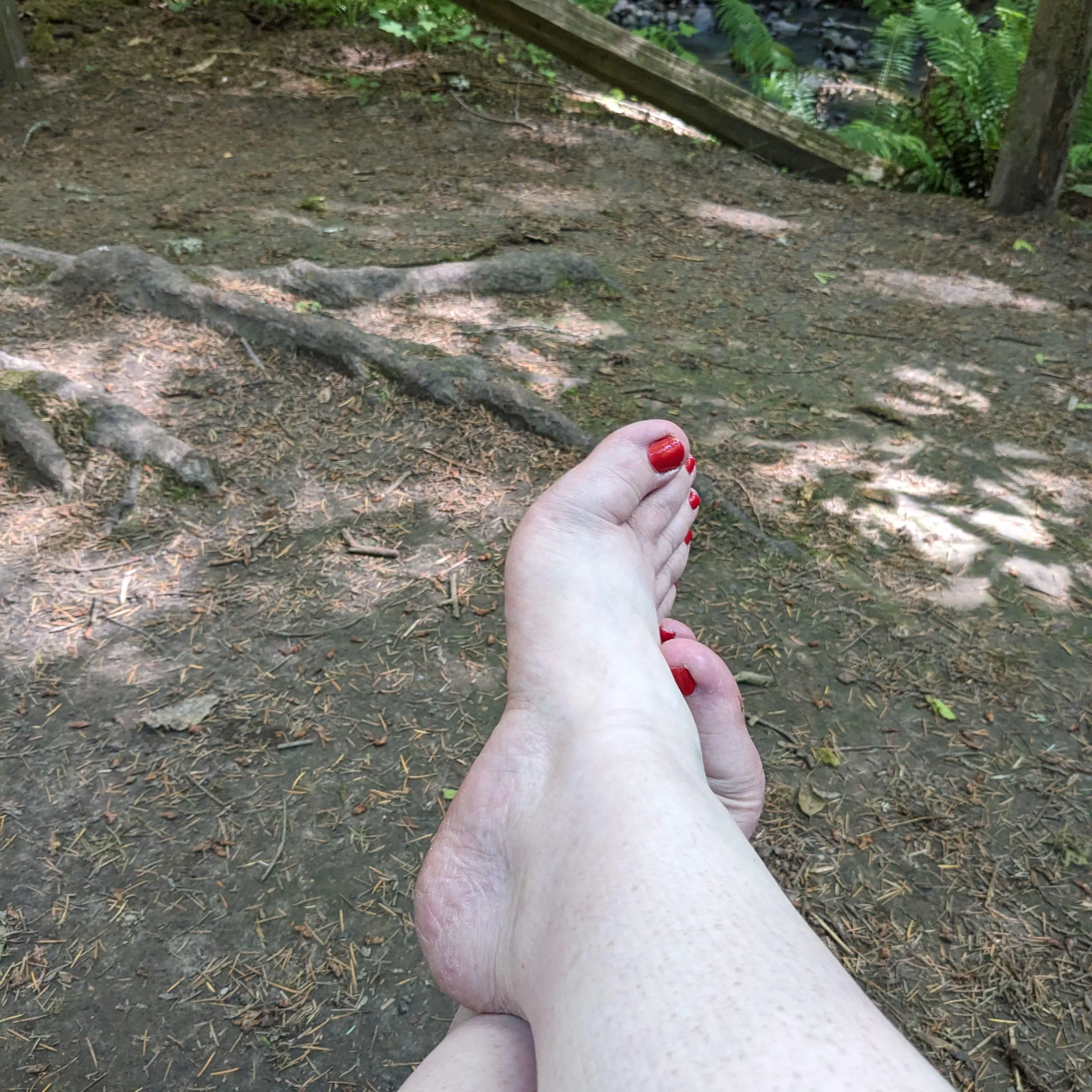 Would you clean up my feet for me after a walk in the woods? posted by Goddessnd88
