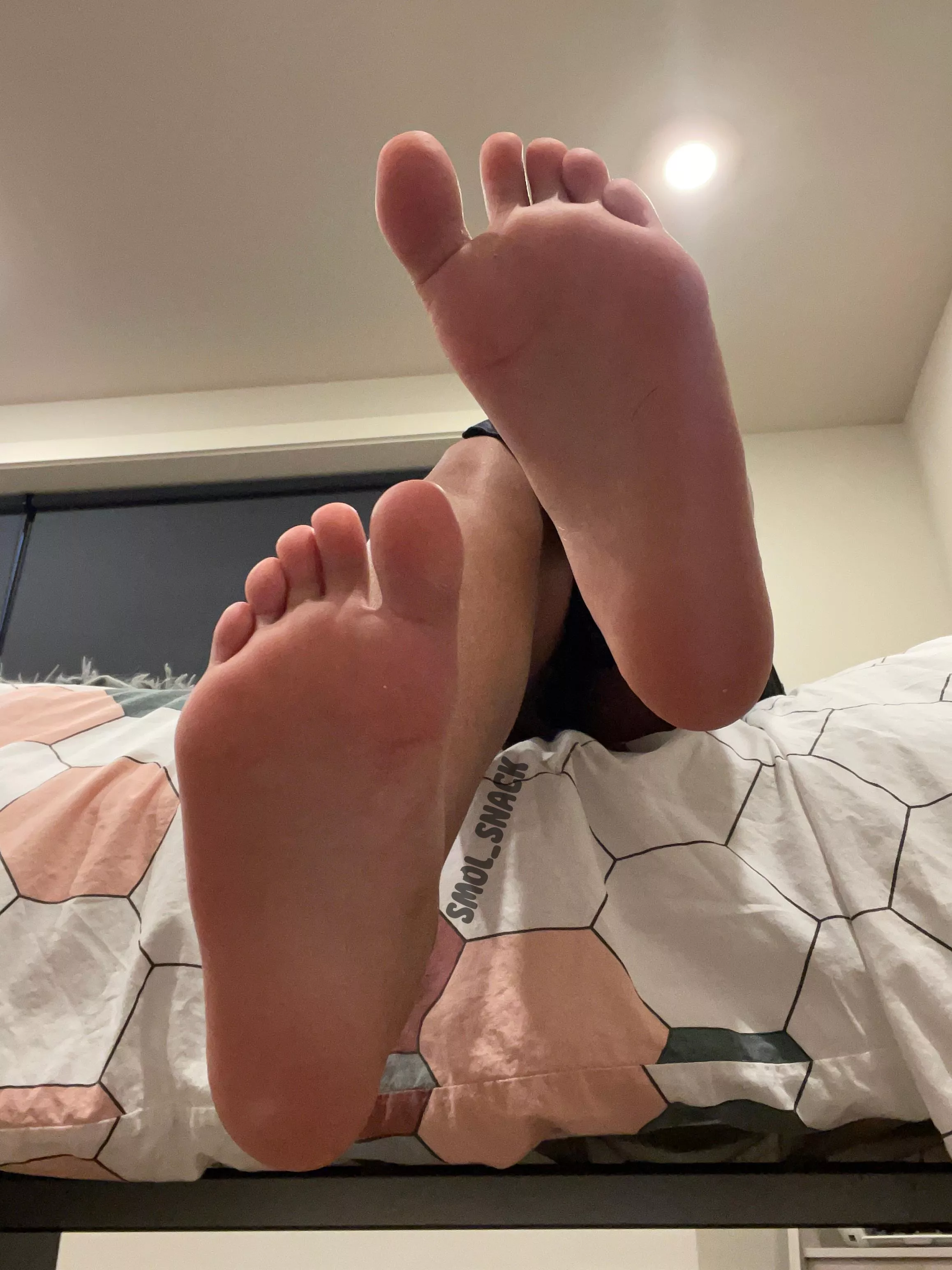 You being under my feet don't you?  posted by Smol_Snack