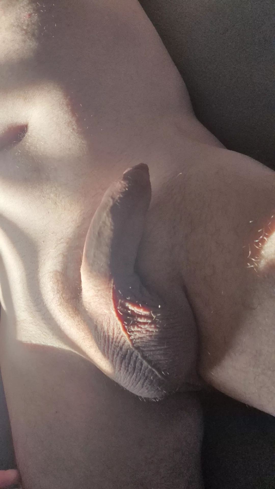 38 small uncut lads hmu g15ryt2  posted by Straight-Weekend-436