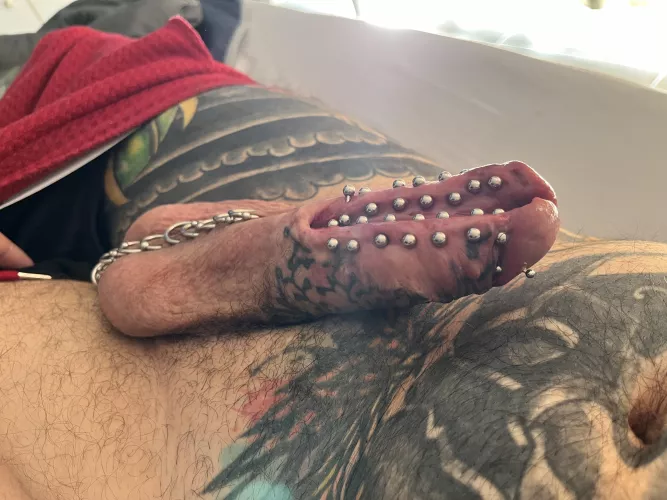Alien cock  by Tattooed_mx