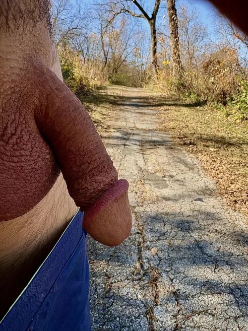 Beautiful day on the trail in Glenwood  by Bakers_playing