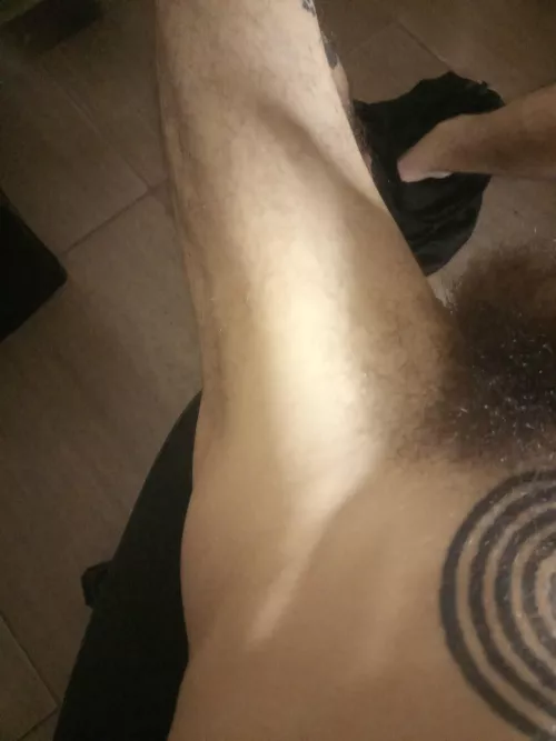 bush growth progress by x420__