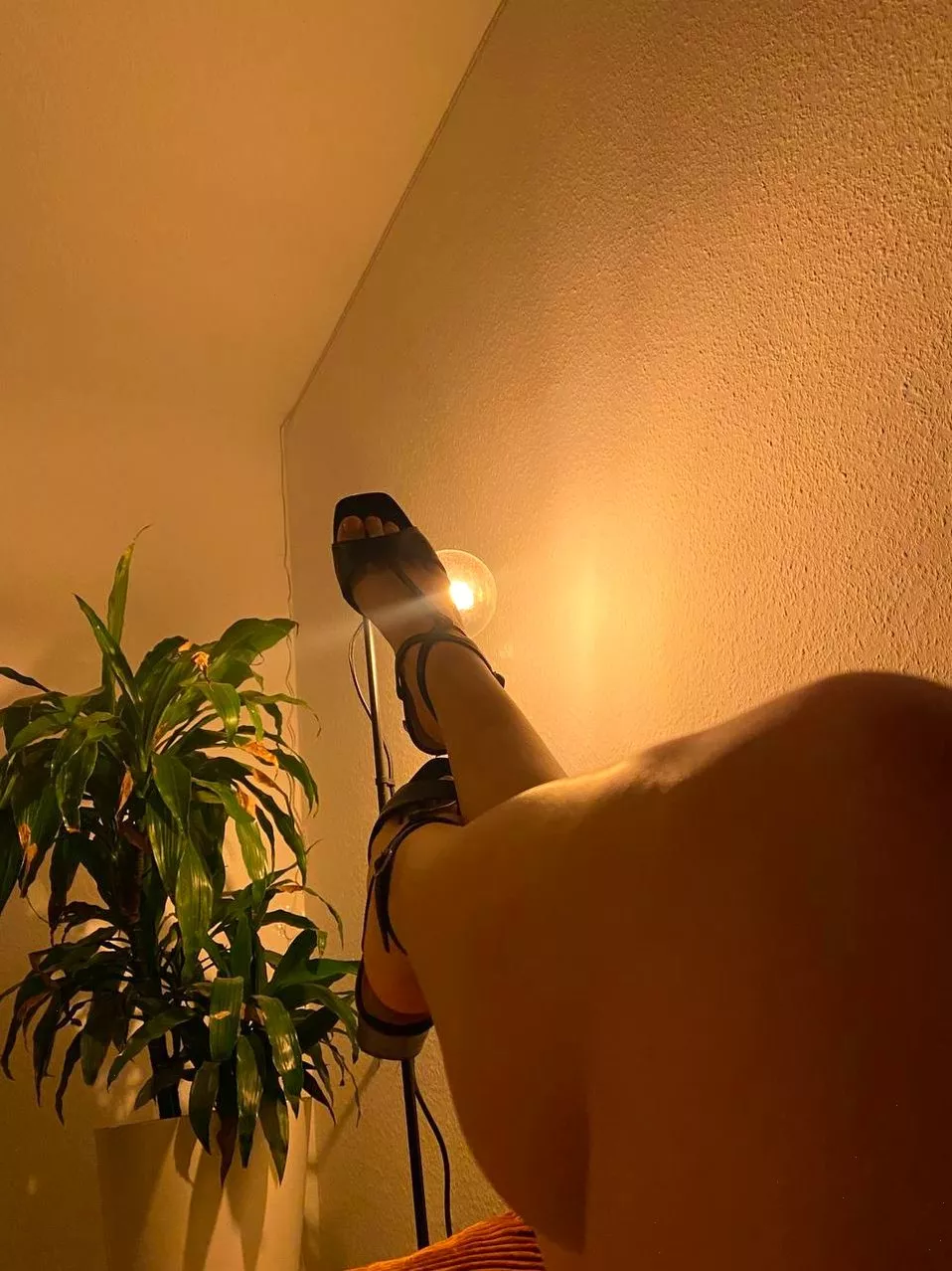 Extra soft soles will look better on your face posted by TwinkleTulip_7