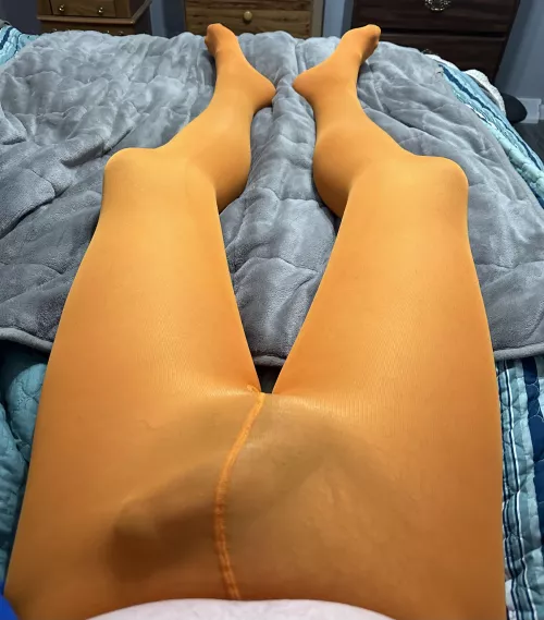 Fall colors  by Successful_Fox3193