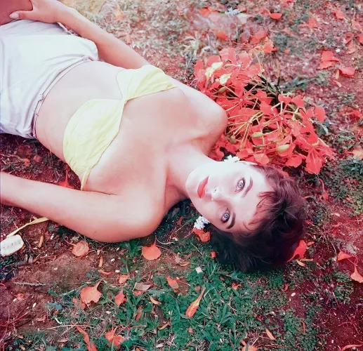 Joan Collins (1950s) by bil_sabab