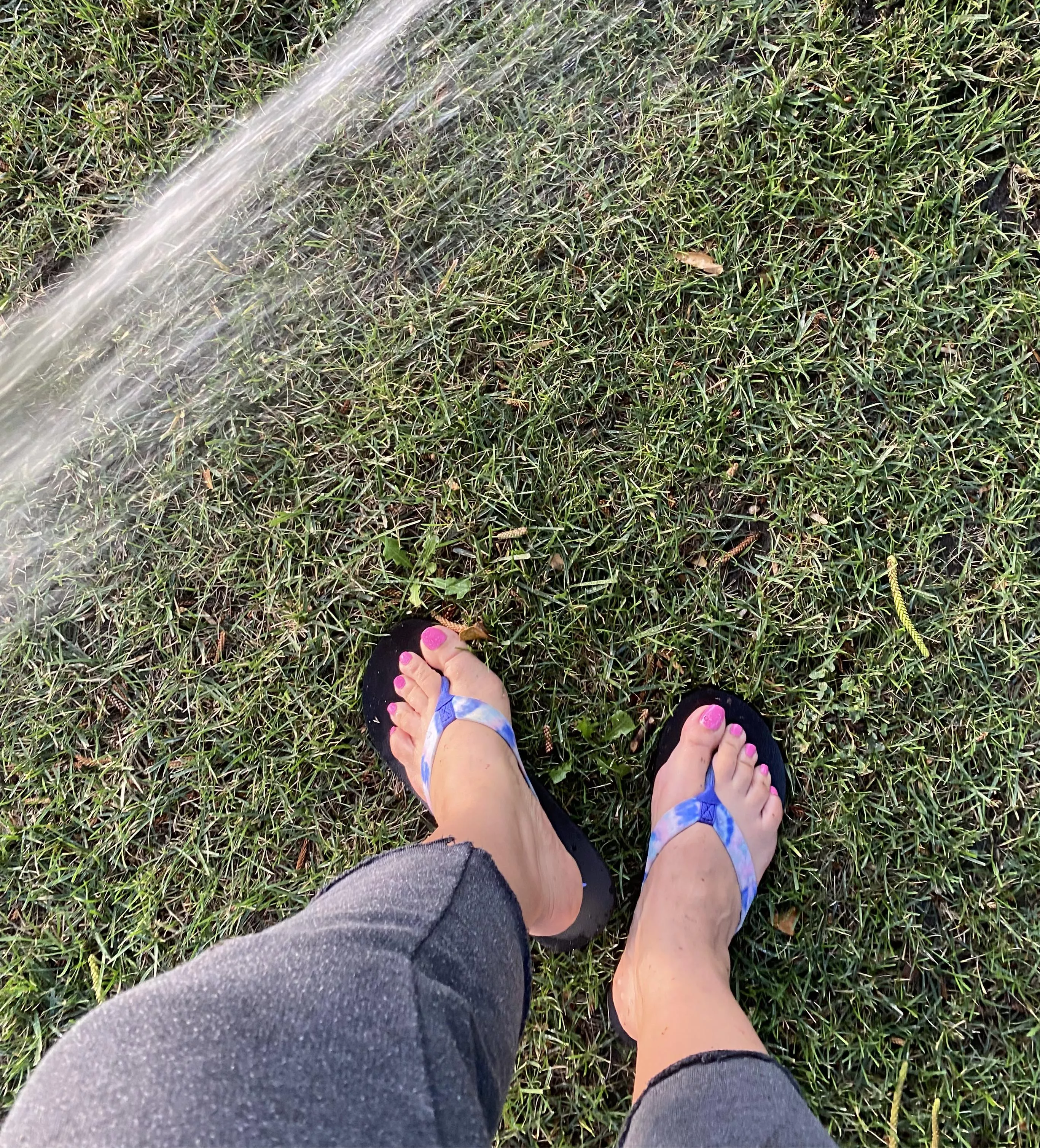 just giving the grass some H2O posted by jaylove3