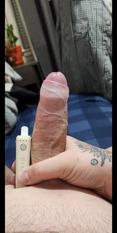 [M] No bush, but plenty of tree 🫡 by imjustchilling4576