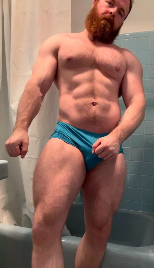 Plan is to get bigger. Sound good? posted by pec_inspector