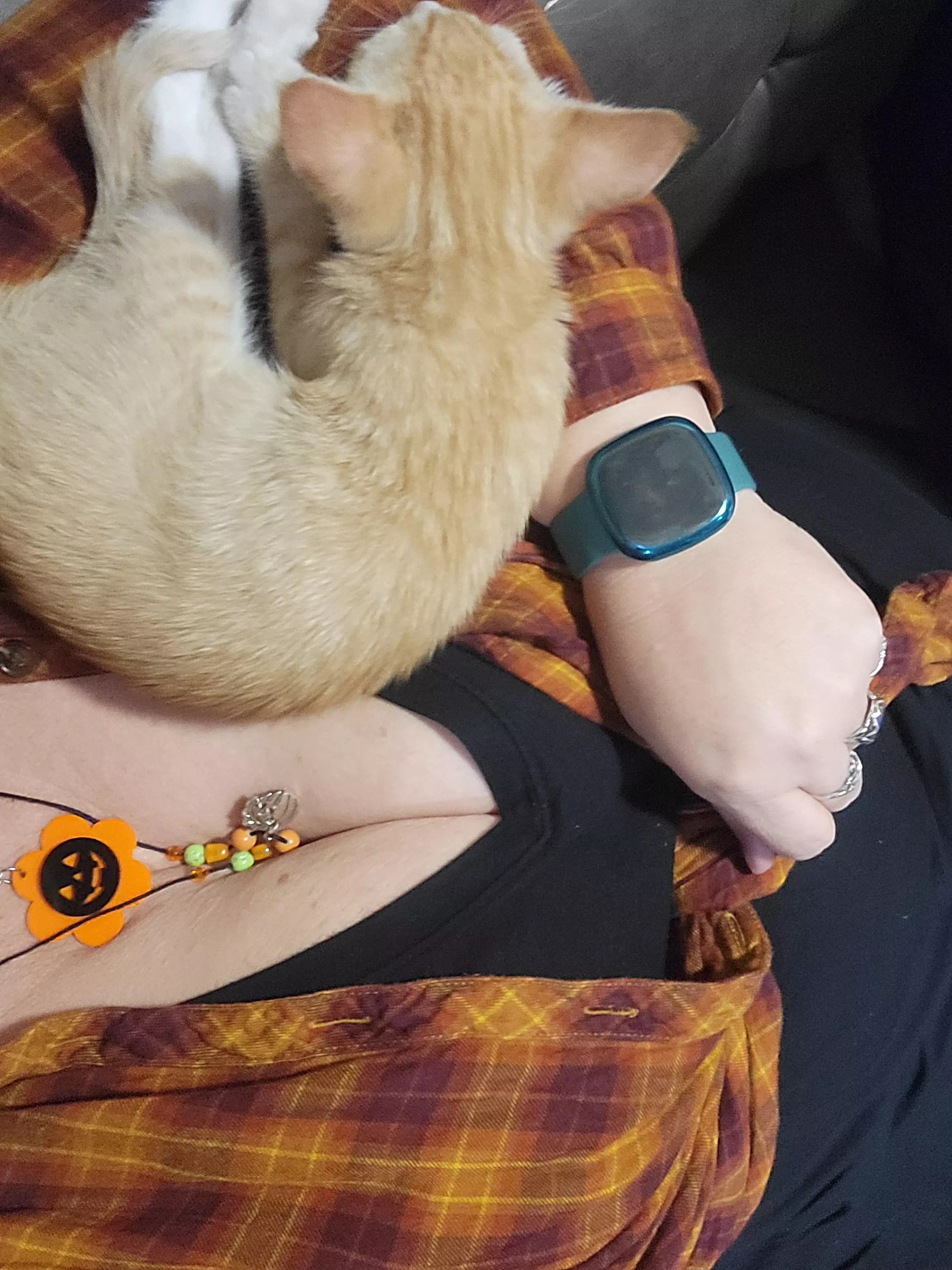 Puss and Boobs posted by TitsOhEmGee