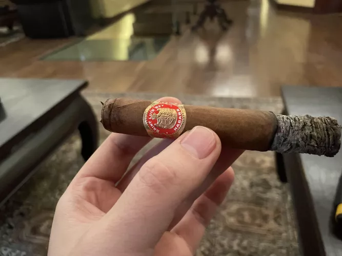 SLR Regio by DonVytautas