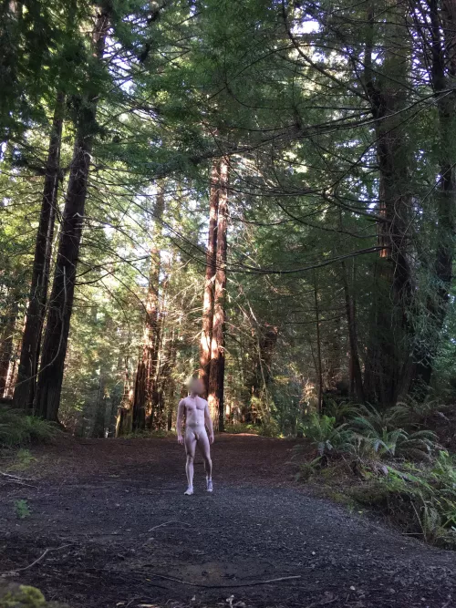 Strolling though the trees by JohnnyThunder-