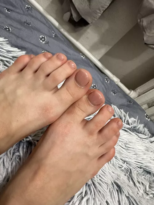 the queen does not ask she commands to clean her feet by KatherineinaFluffy