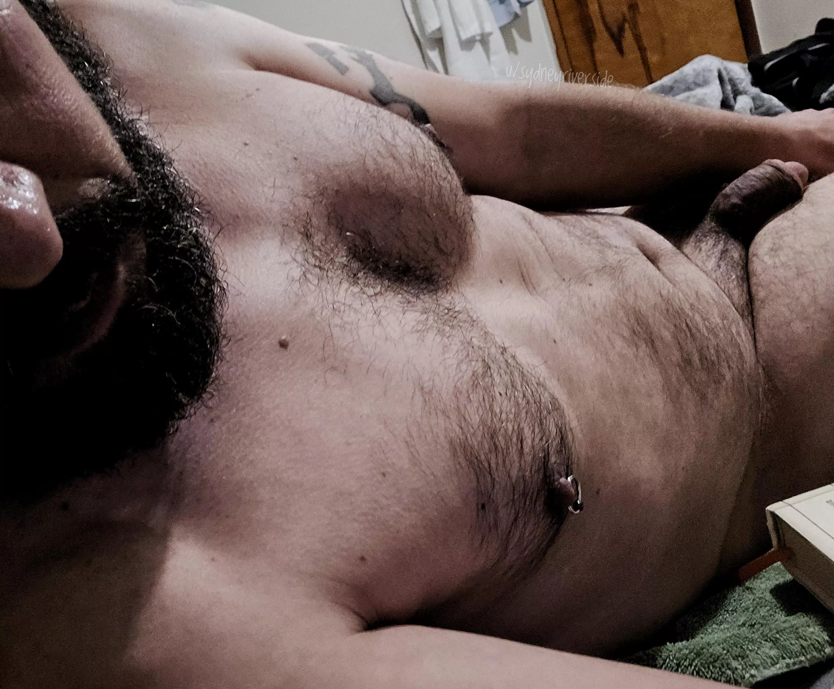 Wanna help me up this morning?  posted by SydneyRiverside