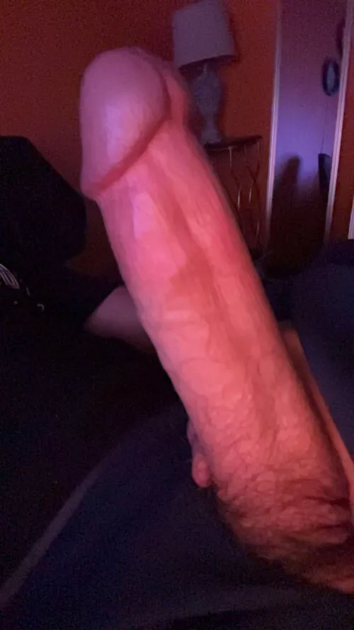 What would you do to it? by Existing_Estate2009