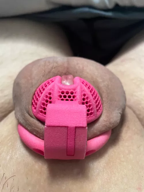 Why do we do this as a community? by some-body00